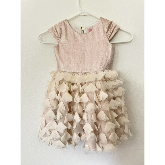 Zoe Ltd Other - ZOE LTD Girl’s Fancy Shiny Ivory Pink Dress Size 4 “Feathers” Reg Price $350